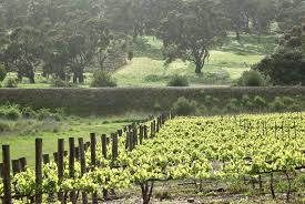 Battunga-Cottages-Watervale-Clare-SA-Travellarks - Travellarks Battunga-Cottages-Watervale-Clare-SA-Travellarks