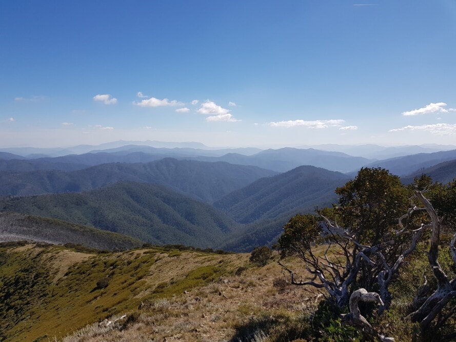victorian-high-country-victoria-australia - Travellarks victorian-high-country-victoria-australia