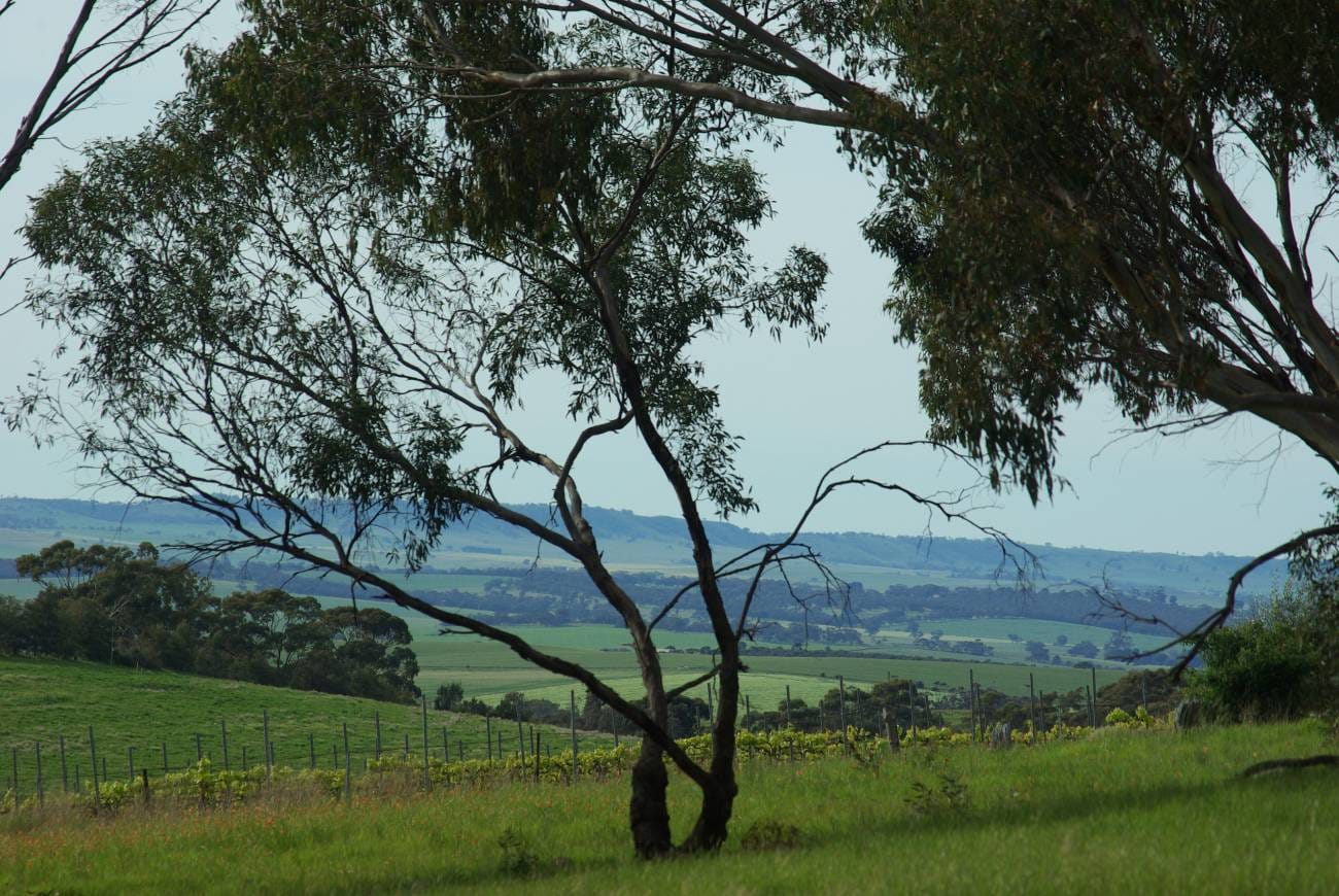 Valley views Battunga Cottages SA Travellarksjpg