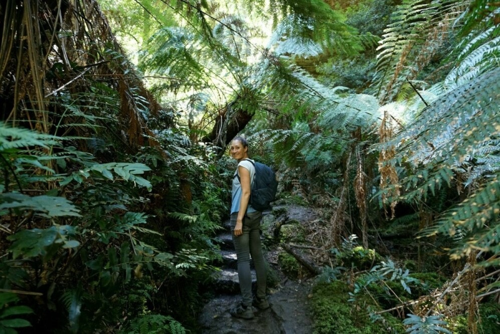 Grand-Canyon-Walk-Blackheath-NSW-Travellarks - Travellarks Grand-Canyon-Walk-Blackheath-NSW-Travellarks.jpg