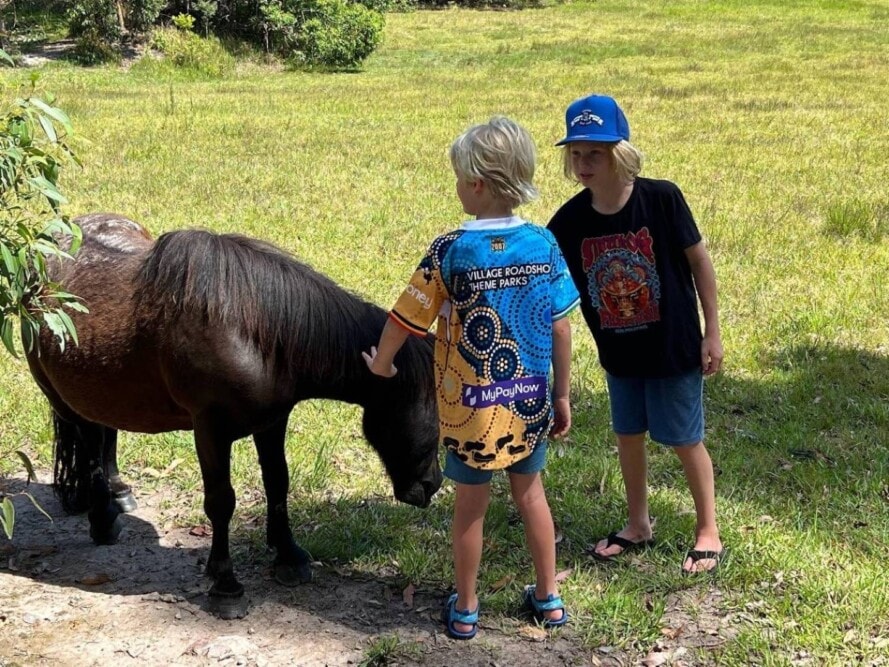 sutherland-downs-north-coast-Travellarks-kids+goats - Travellarks