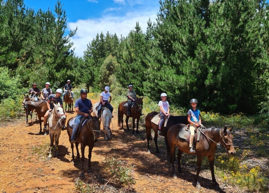 Argalong-Trail-Rides-Tumut-NSW-Travellarks 1 - Travellarks Argalong-Trail-Rides-Tumut-NSW-Travellarks