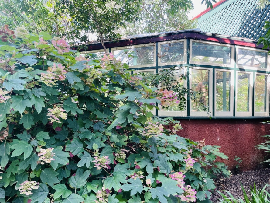 BergoniaHouseMachattieGardensBathurstNSWTravellarks  Travellarks Getaways Bergonia House Machattie Gardens Bathurst NSW Travellarks