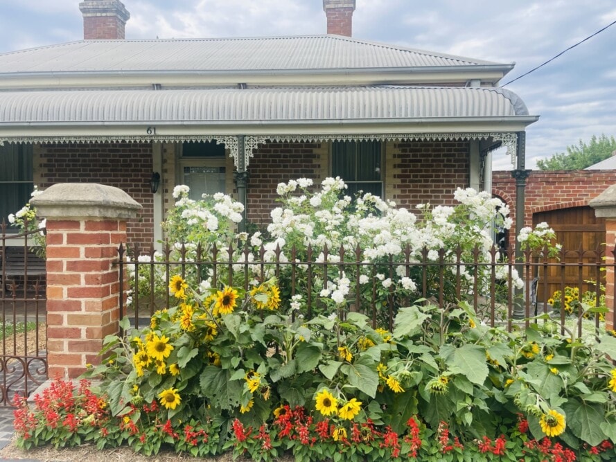 FlowersoutsideHeritageHomesBathurstNSWTravellarks  Travellarks Getaways Things to do around Bathurst Flowers outside Heritage Homes Bathurst NSW Travellarks