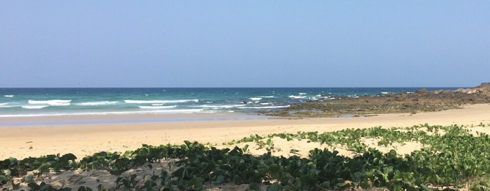 Mullaway-Pet-Friendly-Beaches-North-Coast-NSW-Travellarks - Travellarks Mullaway-Pet-Friendly-Beaches-North-Coast-NSW-Travellarks.jpg