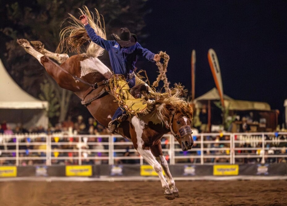 Tumbarumba-Rodeo-Tumbarumba-NSW-Travellarks - Travellarks Tumbarumba-Rodeo-Tumbarumba-NSW-Travellarks.jpg