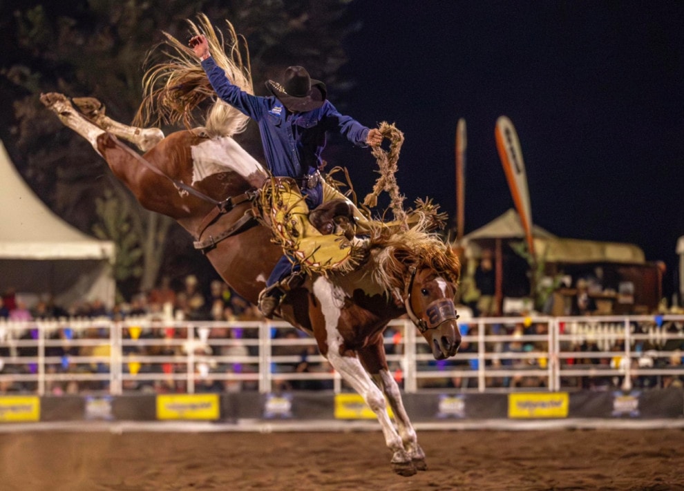 Tumbarumba Rodeo Tumbarumba NSW Travellarksjpg