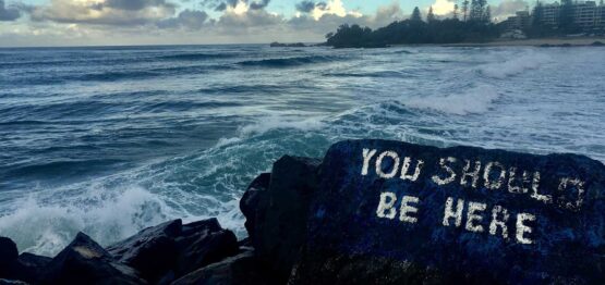 Travellarks Things to do in Port Macquarie