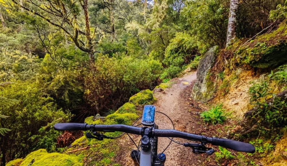 Blue-Derby-Mountain-Bike-Trails-Travellarks-Tasmania - Travellarks Blue-Derby-Mountains-Bike-Trails-Travellarks-Tasmania.jpg