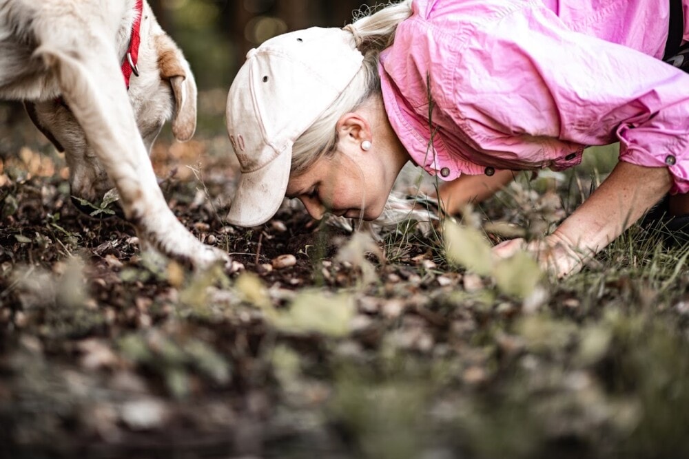 The-Truffle-Farm-Launcestone-Tasmania-Travellarks - Travellarks The-Truffle-Farm-Launcestone-Tasmania-Travellarks.jpg