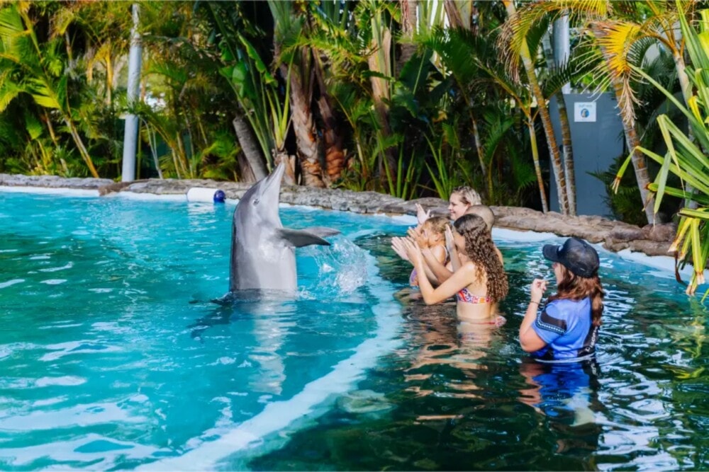 Coffs-Coast-Wildlife-Sanctuary-Dolphins-North-Coast-NSW - Travellarks Coffs-Coast-Wildlife-Sanctuary-Dolphins-North-Coast-NSW.jpg
