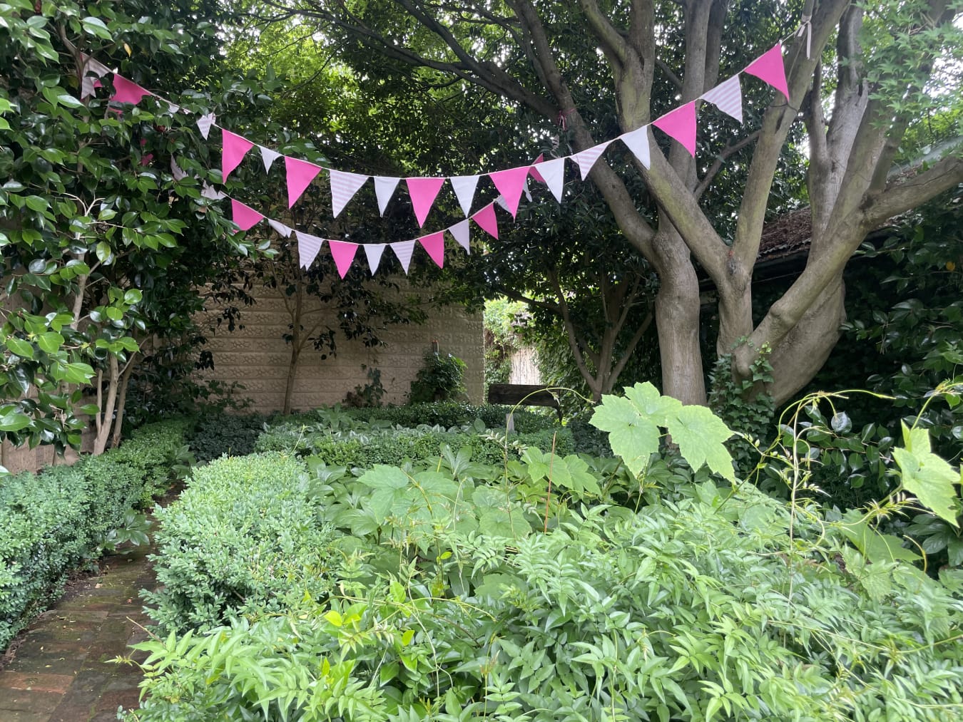 Things to do around Millthorpe NSW bunting Therese Waddell Travellarks Getaways