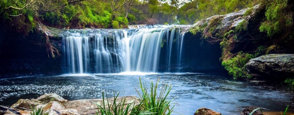 Nellies-Glen-Budderoo-Jamberoo-NSW-Travellarks - Travellarks Nellies-Glen-Budderoo-Jamberoo-NSW-Travellarks.Photography Credit Thanuja