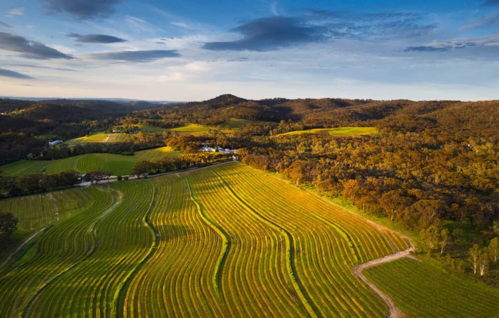 Skillogalee-Estate-Contours-Accommodation-Travellarks - Travellarks Skillogalee-Estate-Clare-Valley-Travellarks