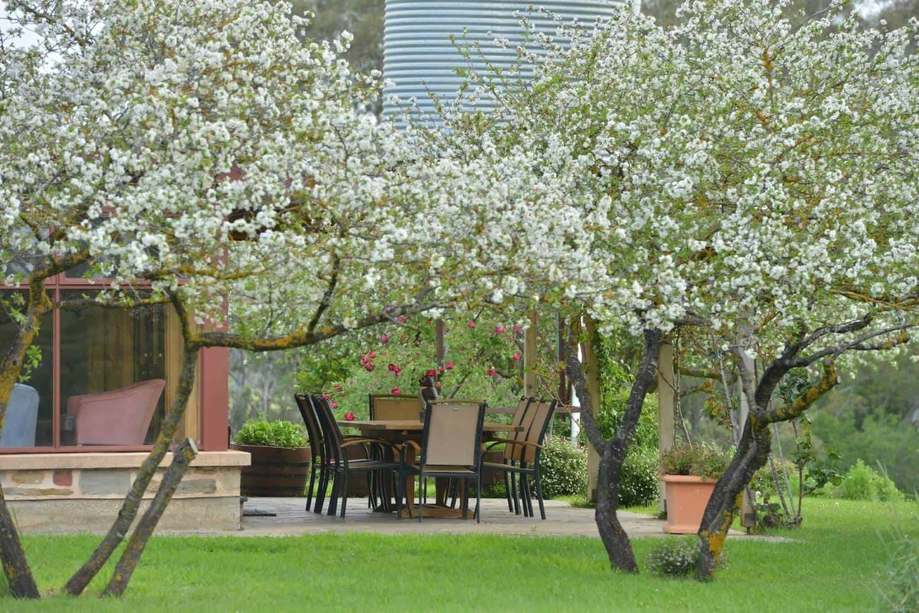 skillogaleehouseverandahTravellarksSA Travellarks Getaways skillogalee house verandah Travellarks SA