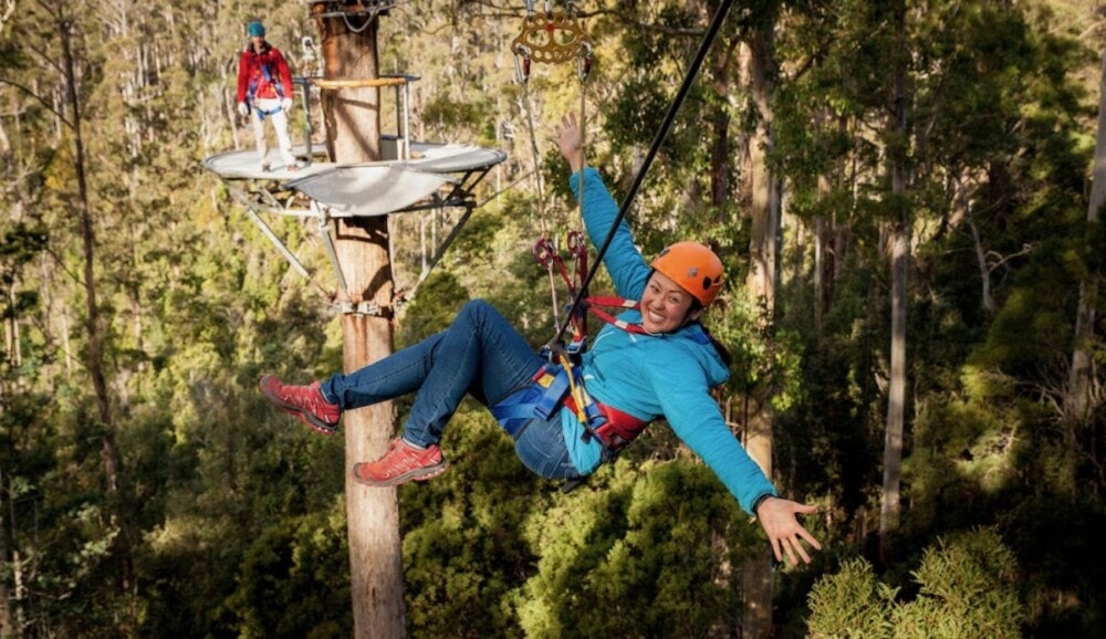Treetops-Adventure-Hollybank-Tasmania-Travellarks - Travellarks Treetops-Adventure-Hollybank-Tasmania-Travellarks.jpg
