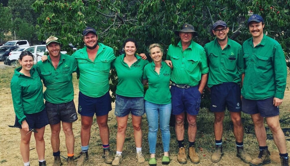 BallinclashorchardteamYoungNSWTravellarks Travellarks Getaways Ballinclash orchard team Young NSW Travellarksjpg