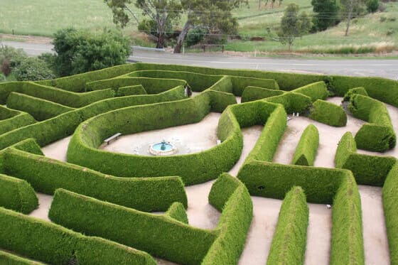 mintaro-maze-clare-valley-sa-travellarks-getaways