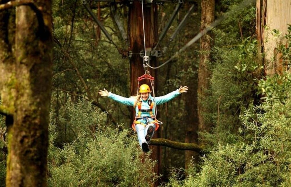 Otway-fly-tree-top-walk-Victoria-Travellarks - Travellarks Otway-fly-tree-top-walk-Victoria-Travellarks.jpg