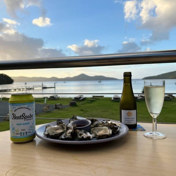 sutherland-downs-north-coast-Travellarks-oysters - Travellarks sutherland-downs-north-coast-Travellarks-oysters