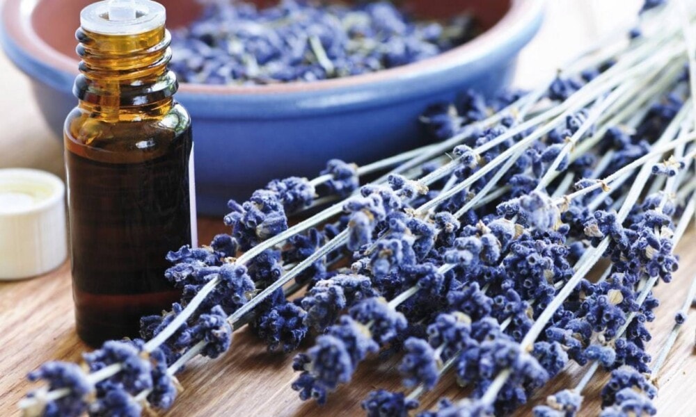 Essential-Oils-Byron wellbing retreats-Byron-NSW-Travellarks - Travellarks Essential oils. Byron Wellbeing Retreats. Byron, NSW