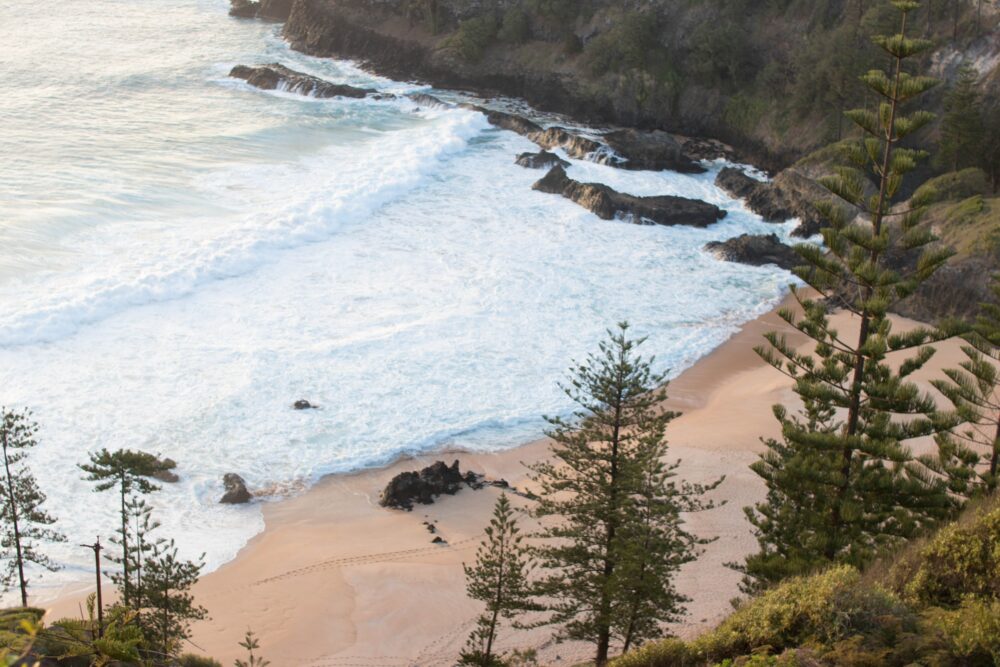 norfolk-island-qld-anson-bay-accommodation-travellarks-joel-henry - Travellarks norfolk-island-qld-anson-bay-accommodation-travellarks-joel-henry