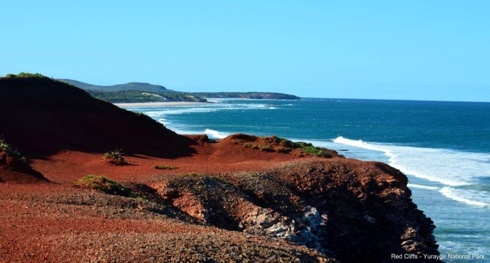 yuraygir-national-park - Wooli-NSW -Travellarks - Travellarks yuraygir-national-park-Wooli-NSW-Travellarks.jpg