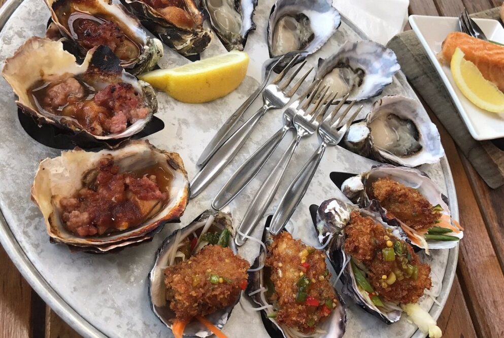 Get-shucked-oysters-Bruny-Island-travellarks-roadtrip. - Travellarks Get-shucked-oysters-Bruny-Island-travellarks-roadtrip.jpg