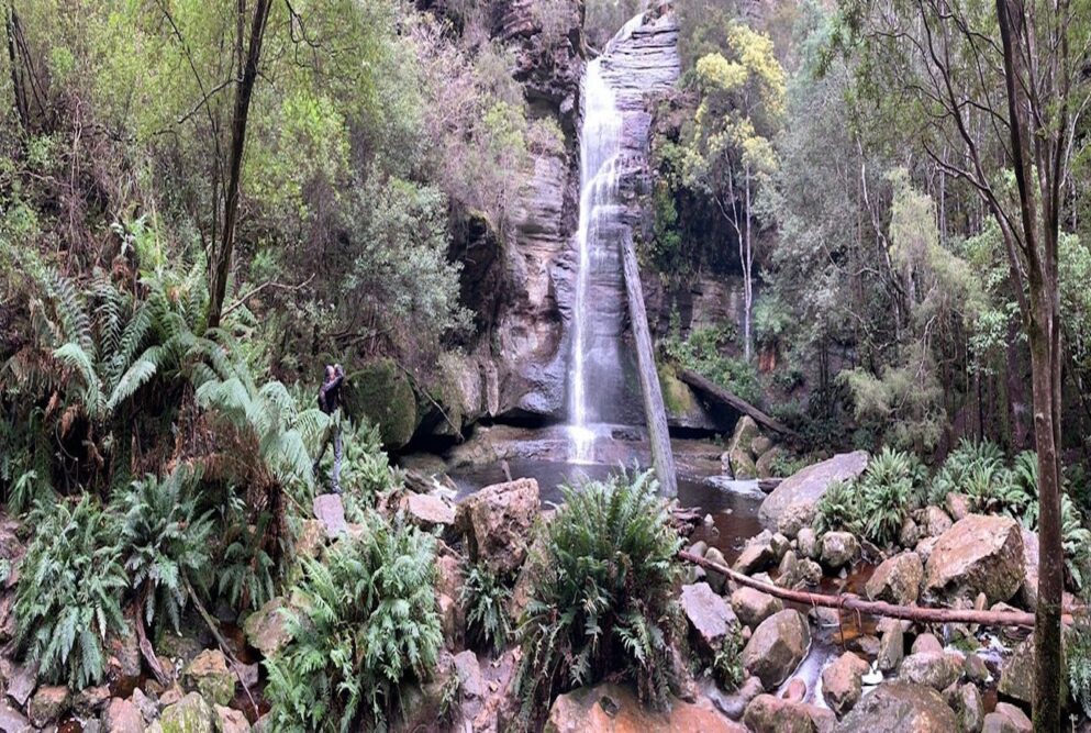Snug-falls-tasmania-travellarks-roadtrip - Travellarks Snug-falls-tasmania-travellarks-roadtrip.jpg