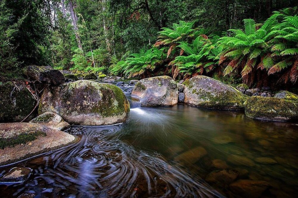 barringtoncoast-barringtontops-matt-stephens-Travellarks-roadtrip - Travellarks barringtoncoast-barringtontops-matt-stephens-Travellarks-roadtrip.jpg
