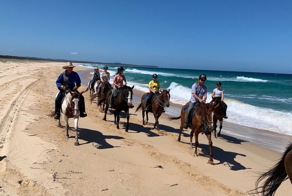 family-fun-horse-about-tour-tuncurry - Travellarks family-fun-horse-about-tour-tuncurry.jpg