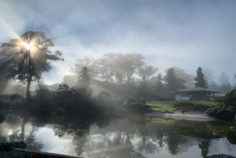 Cowra-Japanese-Gardens-winter-morning-Travellarks-Roadtrip - Travellarks Cowra-Japanese-Gardens-winter-morning-Travellarks-Roadtrip