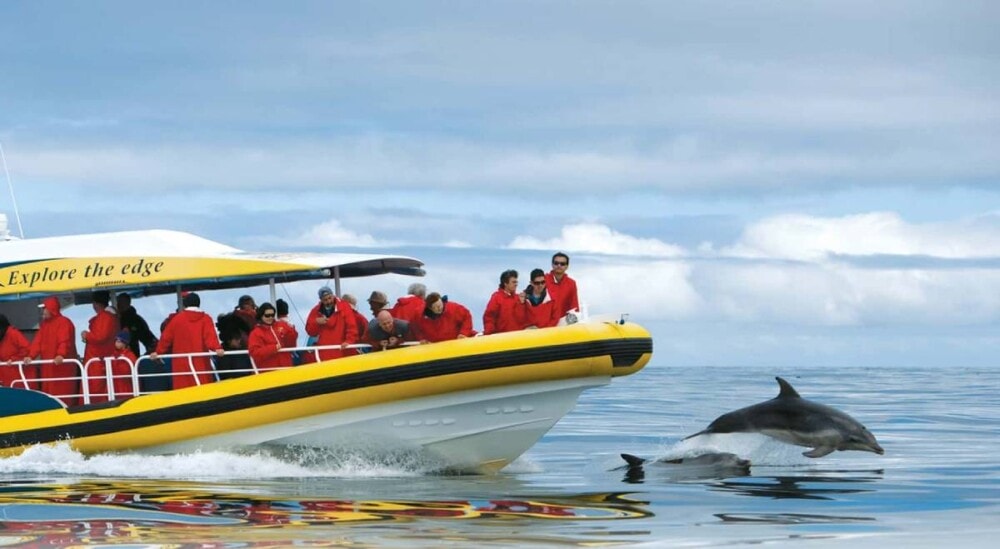Pennicott- Wilderness- Journey- Bruny-Island-Cruises-Travellarks - Travellarks Pennicott-Wilderness-Journey-Bruny-Island-Cruises-Travellarks.jpg