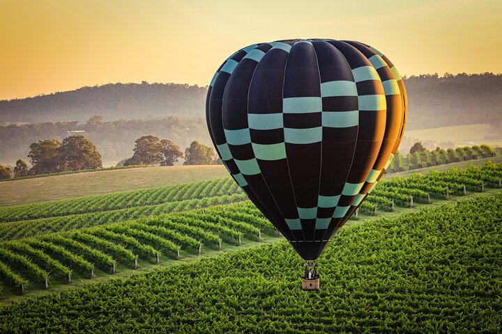 Beyond Ballooning Hunter Valley Travellarks