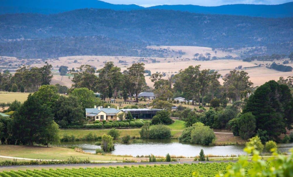 josef-cromer-winery-tamar-valley-tasmania-travellarks-accommodation - Travellarks josef-cromer-winery-tamar-valley-tasmania-travellarks-accommodation