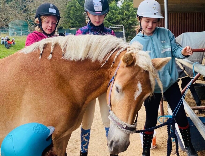 Gooramon-Park- Riding-School- Yass- Travellarks - Travellarks Gooramon-Park-Riding-School-Yass-Travellarks.jpg