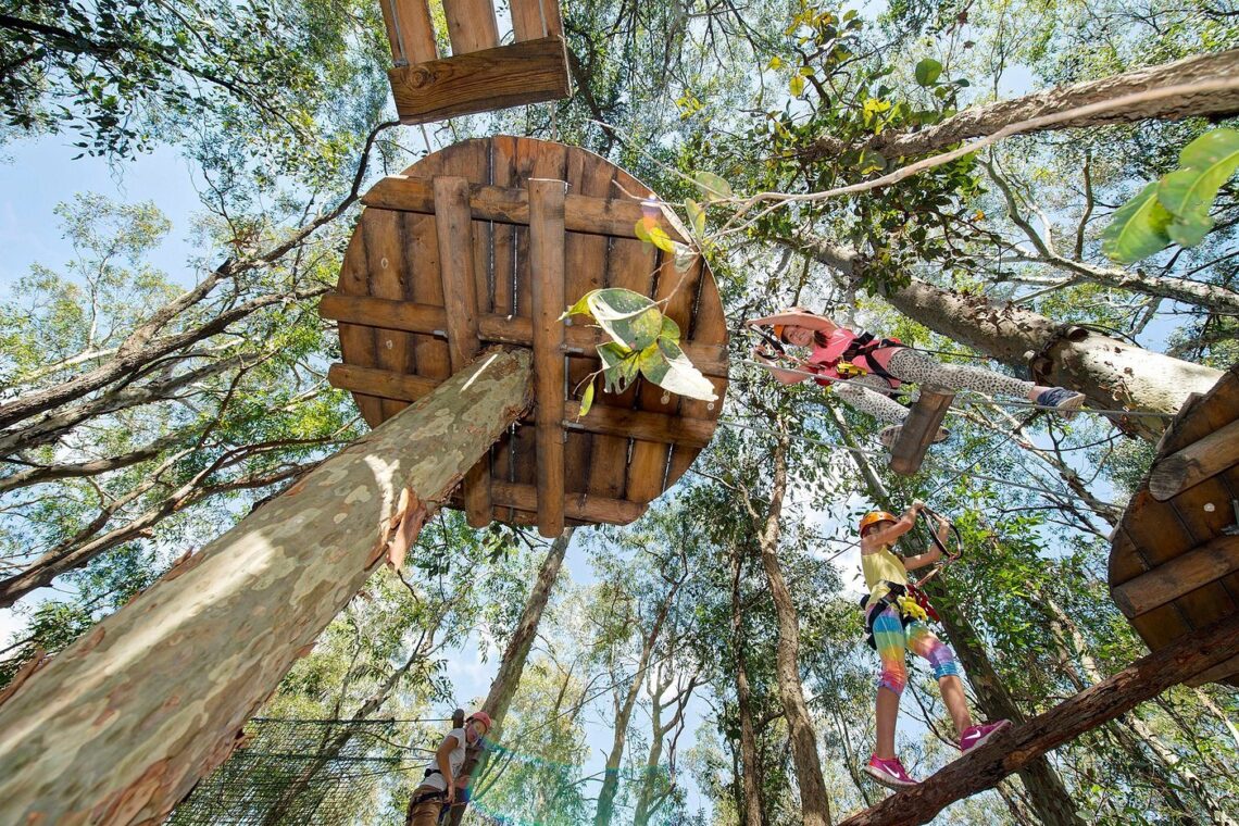 Newcastle-Treetops-Adventure