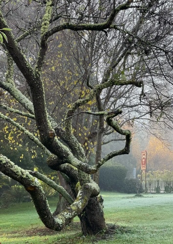 Cambridge-House-Geeveston-TAS-Travellarks-house-signage-front