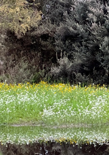 Cambridge-House-Geeveston-TAS-Travellarks-river