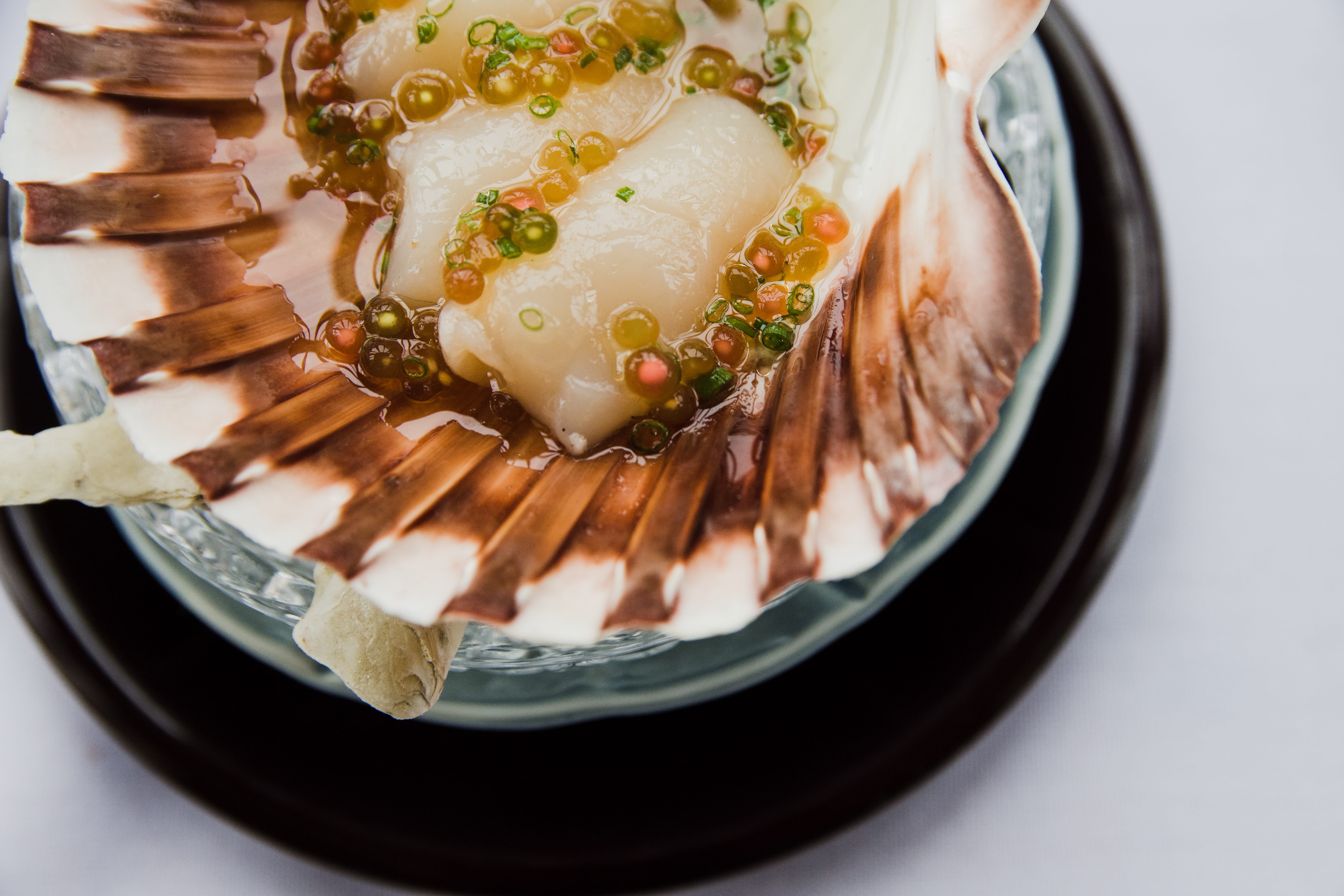 Exquisite Omakase Dining Cambridge House Geeveston Photo credit Hamish Lockett - Travellarks Exquisite-Omakase-Dining-Cambridge-House-Geeveston-TAS-Travellarks-Photo-credit-Hamish-Lockett.j