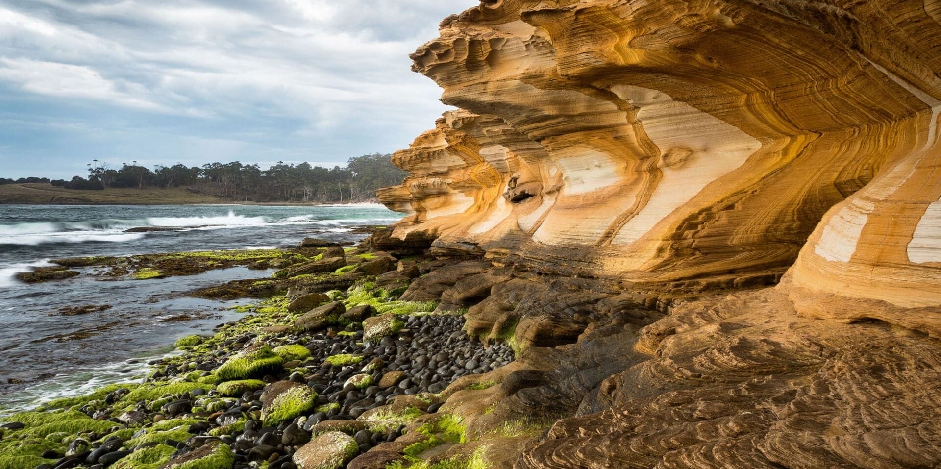 maria-island-tours-tasmania-travellarks-getaways - Travellarks maria-island-tours-tasmania-travellarks-getaways