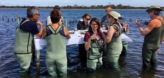 marineoysterfarmtourfreycinettasmaniadiningintheseatravellarksgetaways  Travellarks Getaways things to do around freycinet tasmania