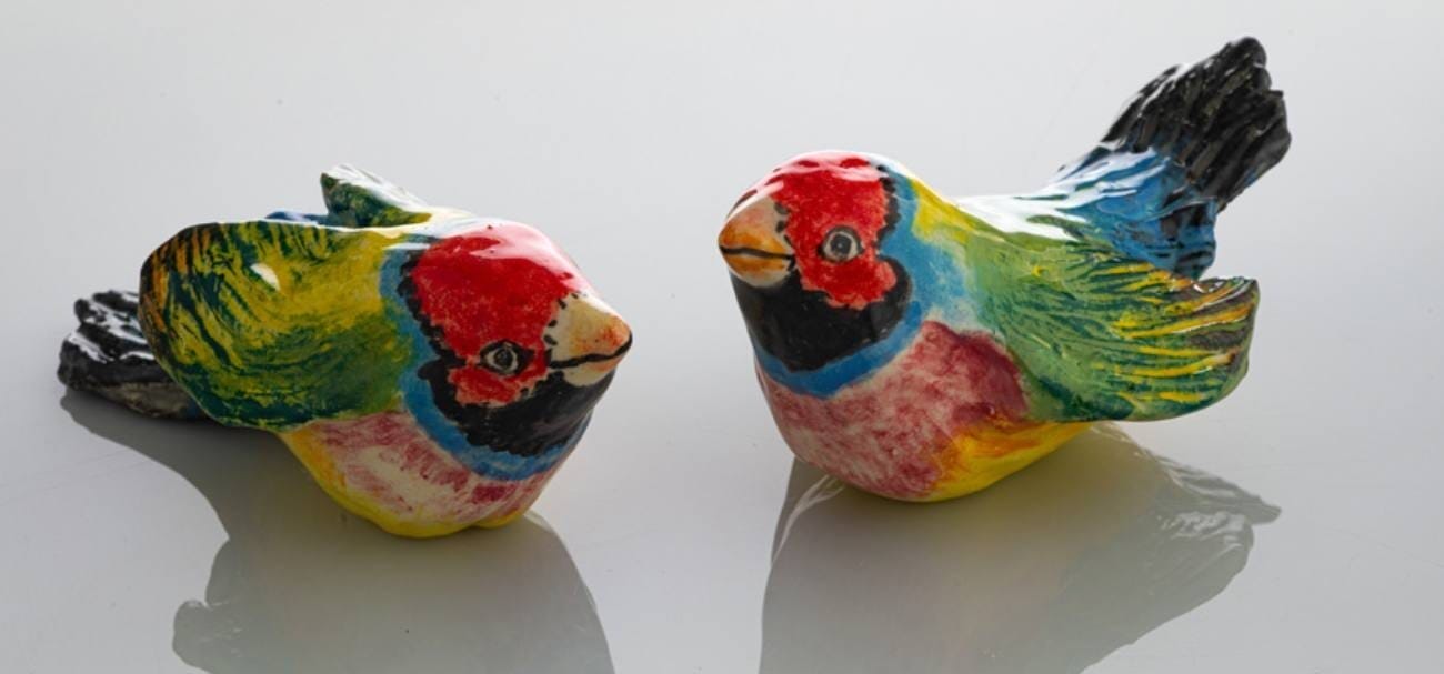 Make and Stay at Winmark Gouldian Finch winmark Hunter Valley NSW Travellarks