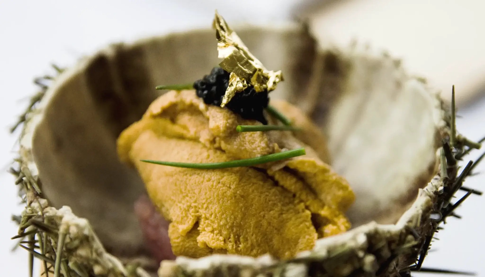 Shio-Dining-Seafood-Cambridge-House-Geeveston-Tasmania-Travellarks - Travellarks Shio-Dining-Seafood-Cambridge-House-Geeveston-Tasmania-Travellarks