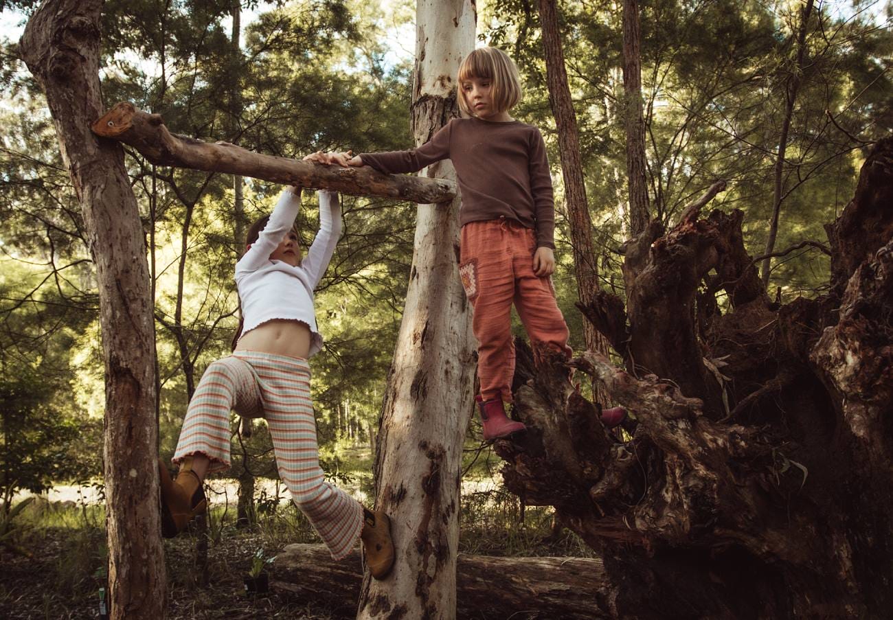 TreeStumpwithkidsplayBombahPointNSW Travellarks Getaways Tree Stump with kids play Bombah Point NSW
