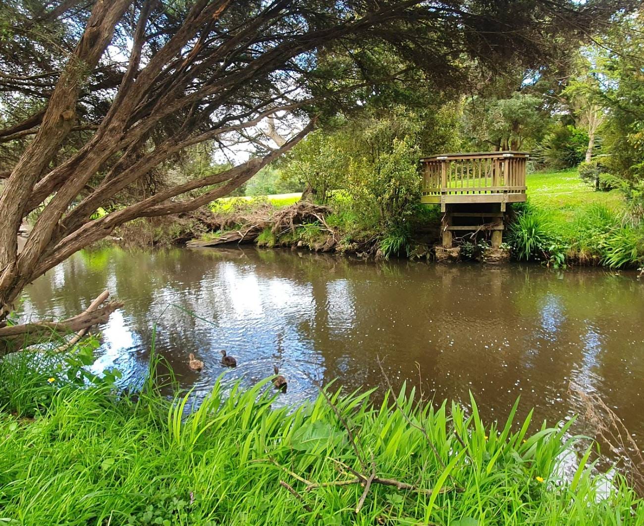 peacefulcreek winding through gardensatCambridge House Travellarks Getaways Japan inspired stay Tasmania at Cambridge House garden