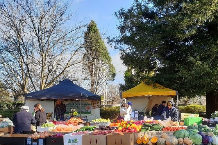 things to do around blackheath farmers market travellarks getaways
