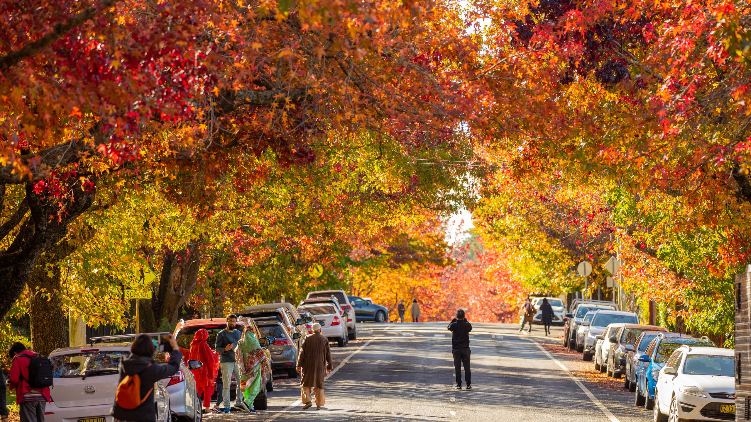 blackheathbluemountainstravellarksgetaways Travellarks Getaways blackheath blue mountains travellarks getaways