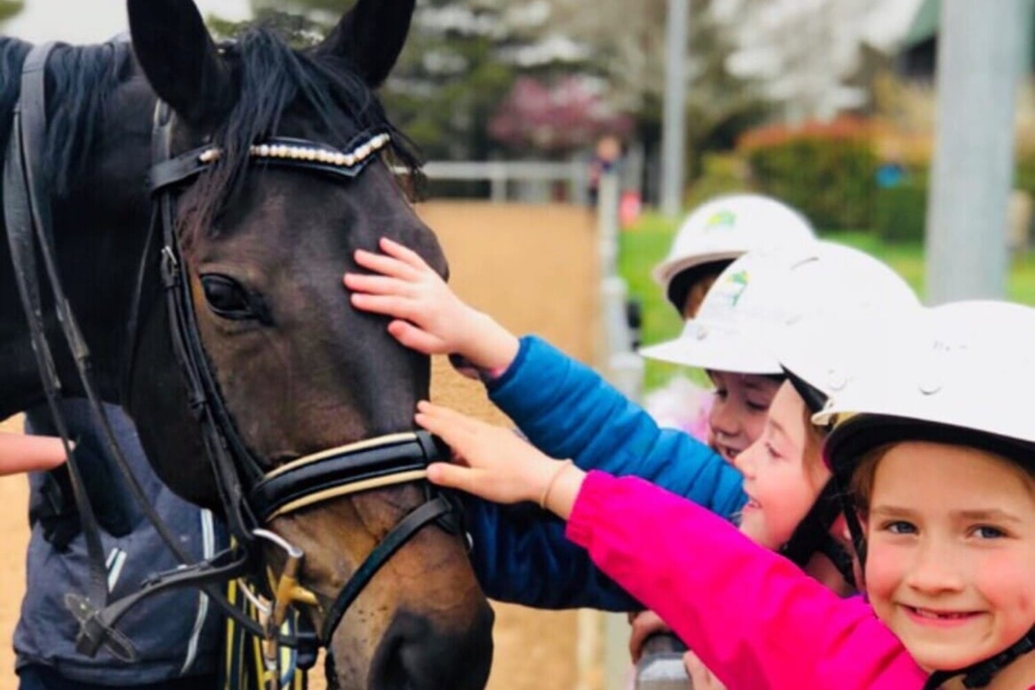 Gooramon-Park-riding-school-Yass-Valley-Travellarks-Getaways Gooramon-Park-riding-school-Yass-Valley-Travellarks-Getaways