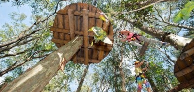 Newcastle-Treetops-Adventure